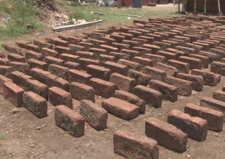 Ladrillo Sargazo Daniel Madariaga