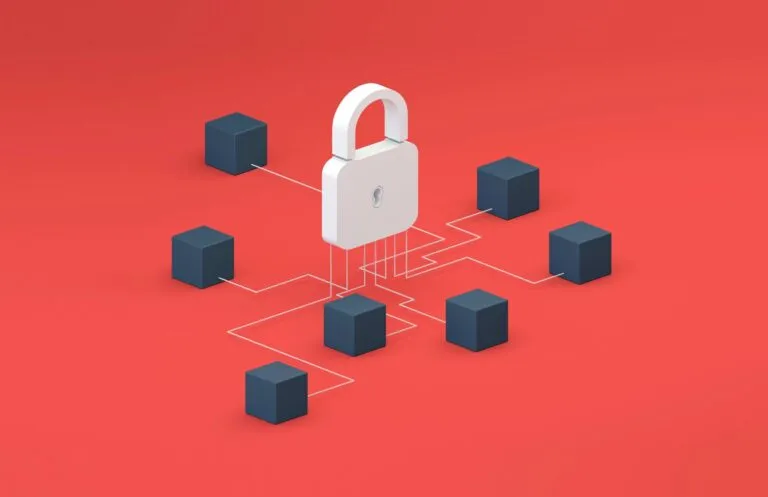 SpiderSilk, startup de ciberseguridad, recibe 2.25 mdd