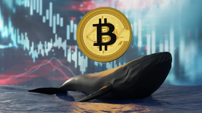 Criptomonedas que están comprando las ballenas para noviembre