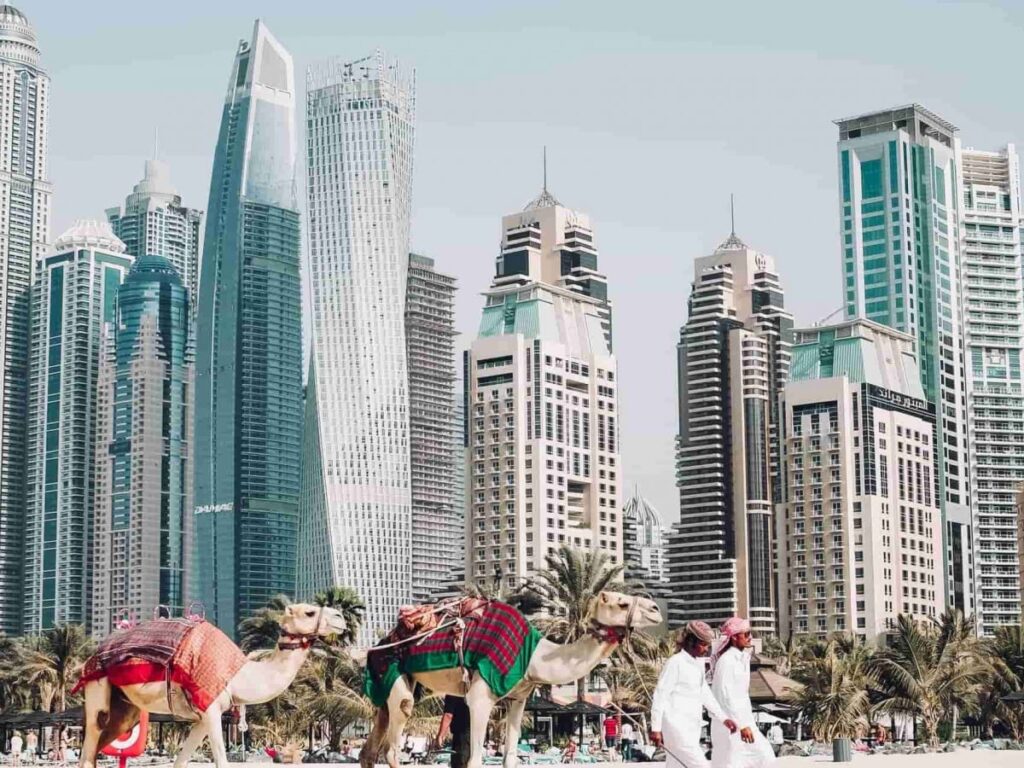 Empresas muestran optimismo hacia las regulaciones