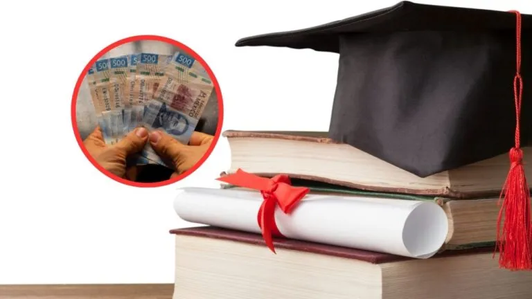 falsificación de títulos universitarios