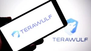 Infraestructura energética de TeraWulf con centros industriales de alta capacidad eléctrica