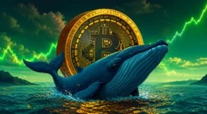 Ballenas de Bitcoin comprando BTC mientras disminuye la oferta en exchanges estadounidenses