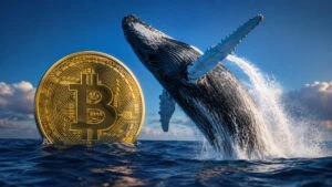 Ballenas de Bitcoin elevan sus apuestas mientras la liquidez se debilita