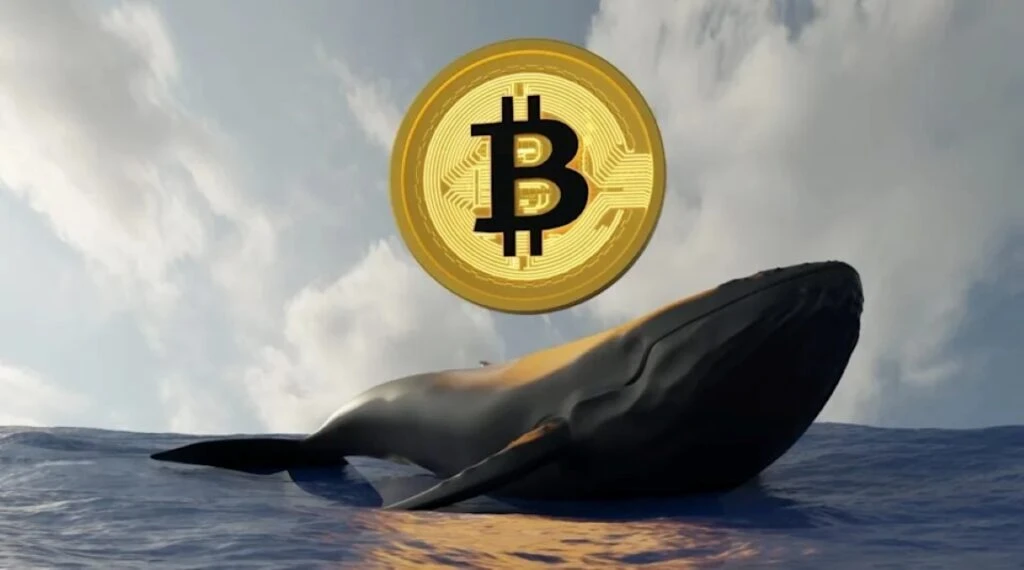 Ballenas de Bitcoin realizan grandes movimientos de BTC mientras disminuyen las reservas disponibles en los exchanges.