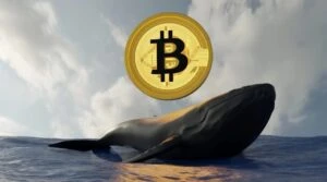 Ballenas de Bitcoin realizan grandes movimientos de BTC mientras disminuyen las reservas disponibles en los exchanges.